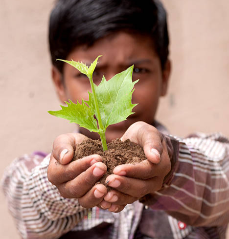 Our Donation is Hope for Poor Childrens.
